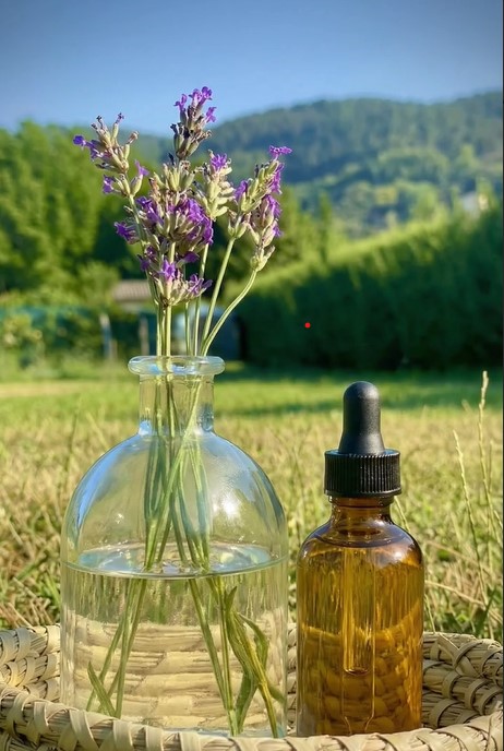 Essències botàniques de romaní i espígol