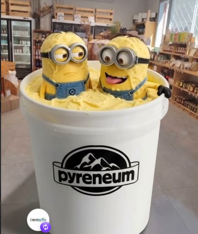 Gelats artesans de Pyreneum a l'Agrobotiga